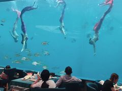 -瑞德姆美人鱼海底演艺主题餐厅(亚龙湾店)