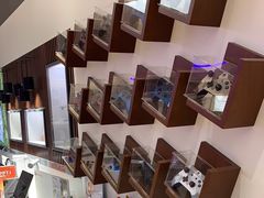 -微软授权专卖店(陆家嘴中心店)
