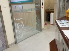 -谐和益家动物医院·免疫绝育·血液透析·宠保定点医院(高新伊藤分院)