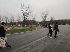 -盘龙城国家考古遗址公园