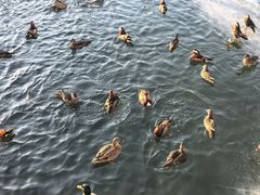 -北海公园