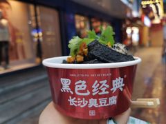 -黑色经典臭豆腐·湖南特产(坡子街店)