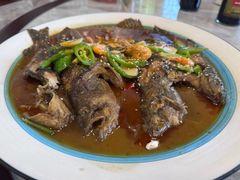 -呼吸森林·生态农庄农家乐私房菜