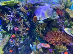 -成都浩海立方海洋公园