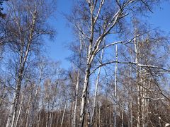 -长春市南湖公园