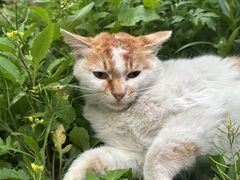 -拜鲁耶动物诊疗中心·宠家动物医院