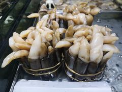 -海岛渔村大酒店(云霄路店)