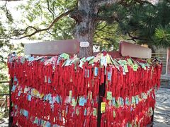 -香山公园