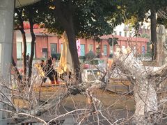 -锦江宾馆-花园餐厅