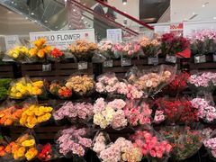 -优衣库(深圳万象天地旗舰店)