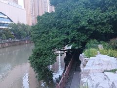 -成都市活水公园