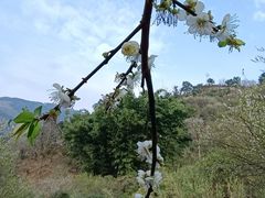 -福建天门山