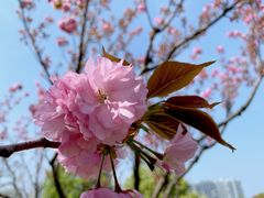 -白塘生态植物园