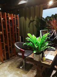 -V-STAR威斯达•高级私人定制