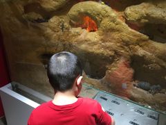 -上海昆虫博物馆