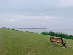 -江苏省泗阳县成子湖旅游度假区综合服务中心-停车场