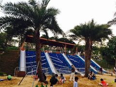 -宝安西湾红树林湿地公园