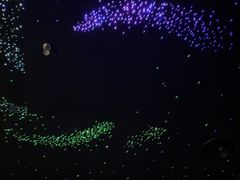 -小仙女采耳·按摩·SPA(深圳旗舰店)