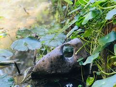 -驿舍·民國老营房院子私房菜(科学会堂店)