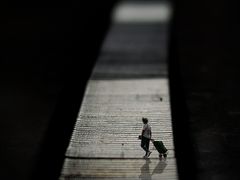 -CGWANG王氏教育(上海校区)