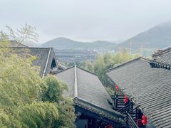 -大唐贡茶院