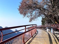 -少华山国家森林公园