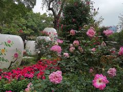 -人民公园(罗湖区)