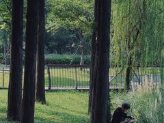 -四海公园(南山区)