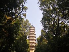 -灵谷景区