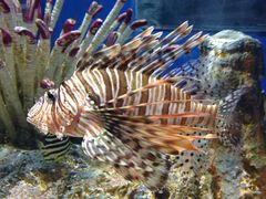 -福州罗源湾海洋世界旅游区