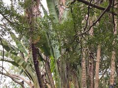 -海南热带野生动植物园