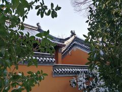 -灵谷景区
