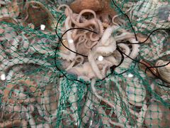 -木柴豆腐·活海鲜·鲁菜(岚山路店)