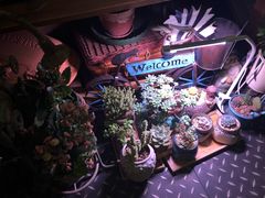 大堂-Kitchen·Y洋厨房西餐厅(王府壹号店)