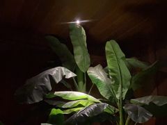-紫莲花足道(柯桥古镇店)