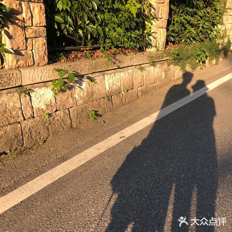 上山的环境还不错，路过南山路