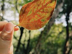 -杭州半山国家森林公园