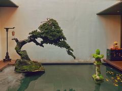 -觀芷隐轩