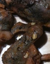 -珍藏湘约(科技园店)