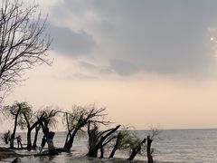-捞渔河湿地公园