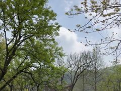 -杭州上天竺法喜讲寺