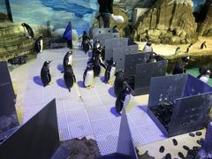 -成都浩海立方海洋公园