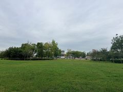 -九龙湖公园