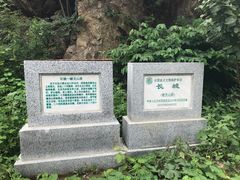 -蟠龙山长城景区