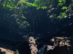 -西双版纳基诺山寨