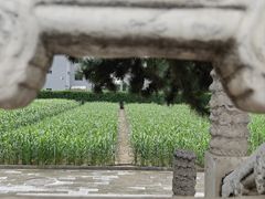 -北京古代建筑博物馆
