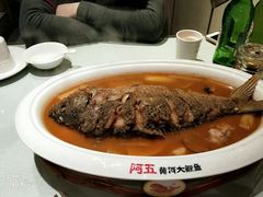 -阿五黄河大鲤鱼(英协路店)