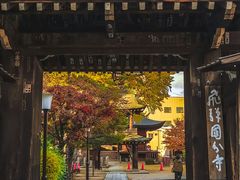 -医王山·飞騨国分寺