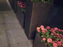 -杭州城中香格里拉大酒店