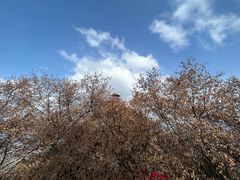 -终南山南五台景区